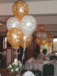 Balloons Unlimited 1077542 Image 5